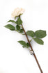 Artificial 92cm Single Stem Fully Open Ivory and Pink Tipped Rose